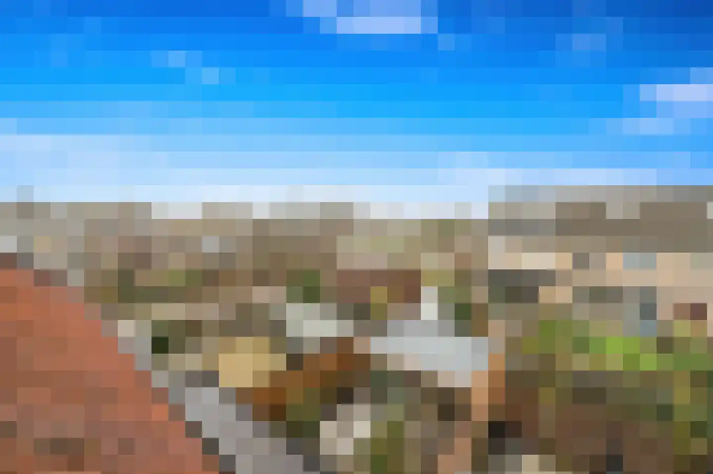 Delkamp 46 Maasland thumbnail 38