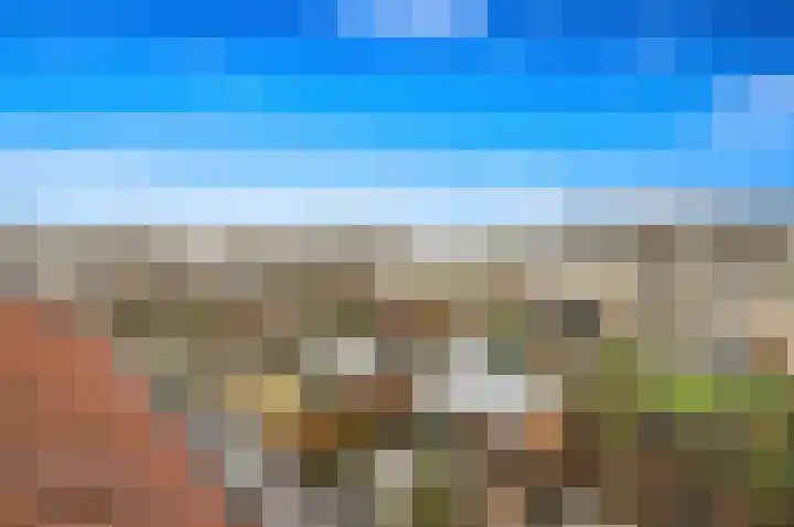 Delkamp 46 Maasland thumbnail 38