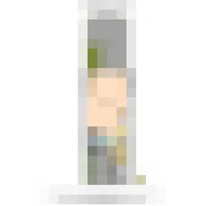 Delkamp 46 Maasland thumbnail 39