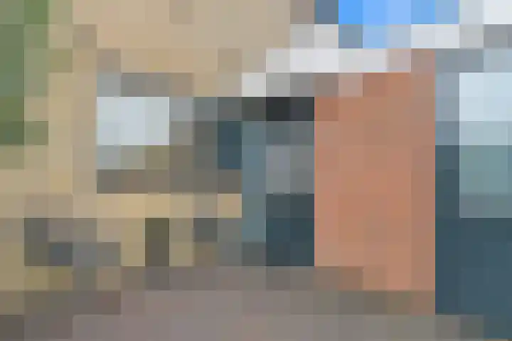 Delkamp 46 Maasland thumbnail 4