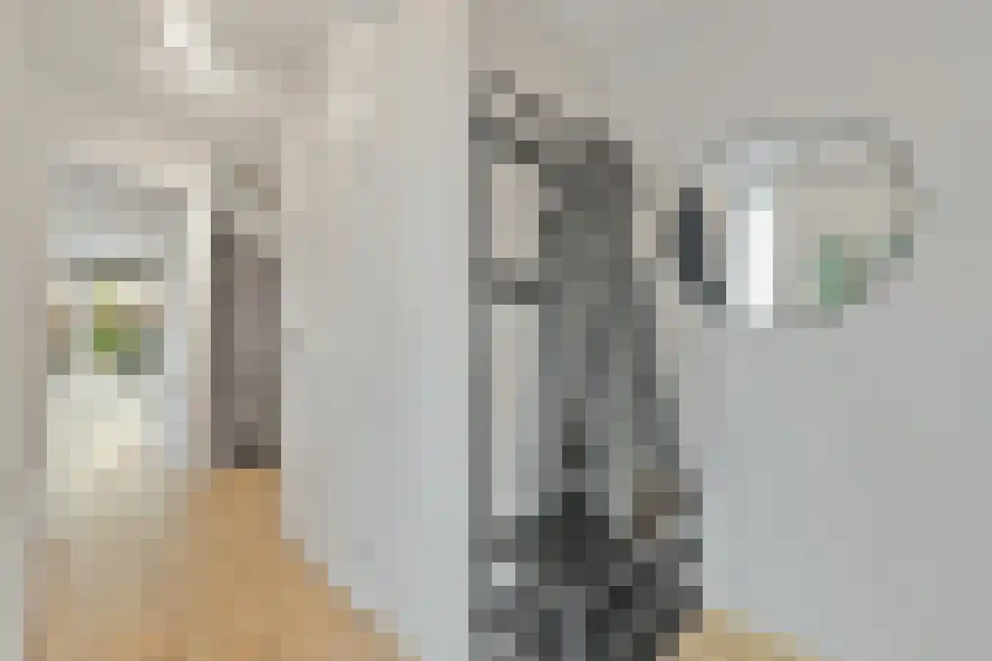 Delkamp 46 Maasland thumbnail 5