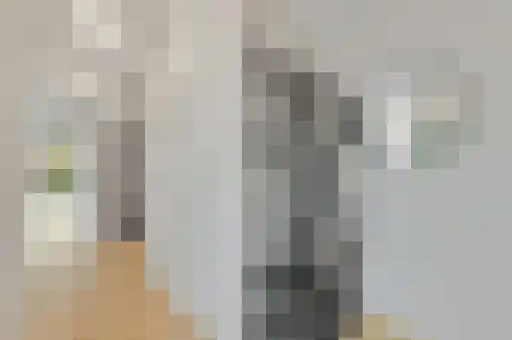 Delkamp 46 Maasland thumbnail 5