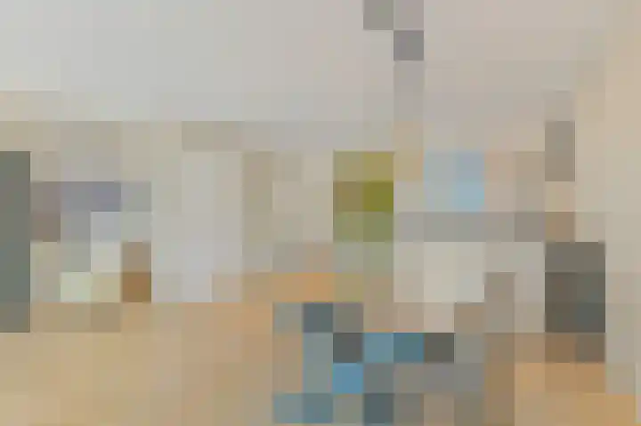 Delkamp 46 Maasland thumbnail 6