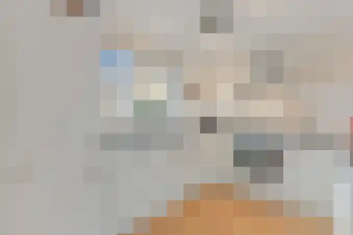 Delkamp 46 Maasland thumbnail 7
