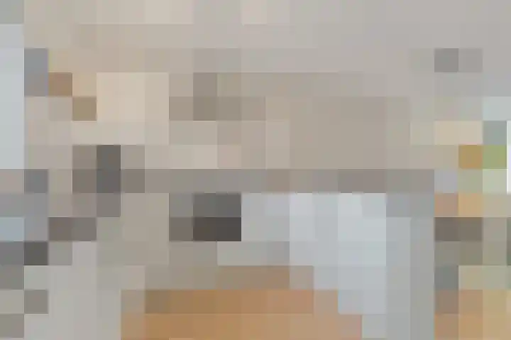 Delkamp 46 Maasland thumbnail 8