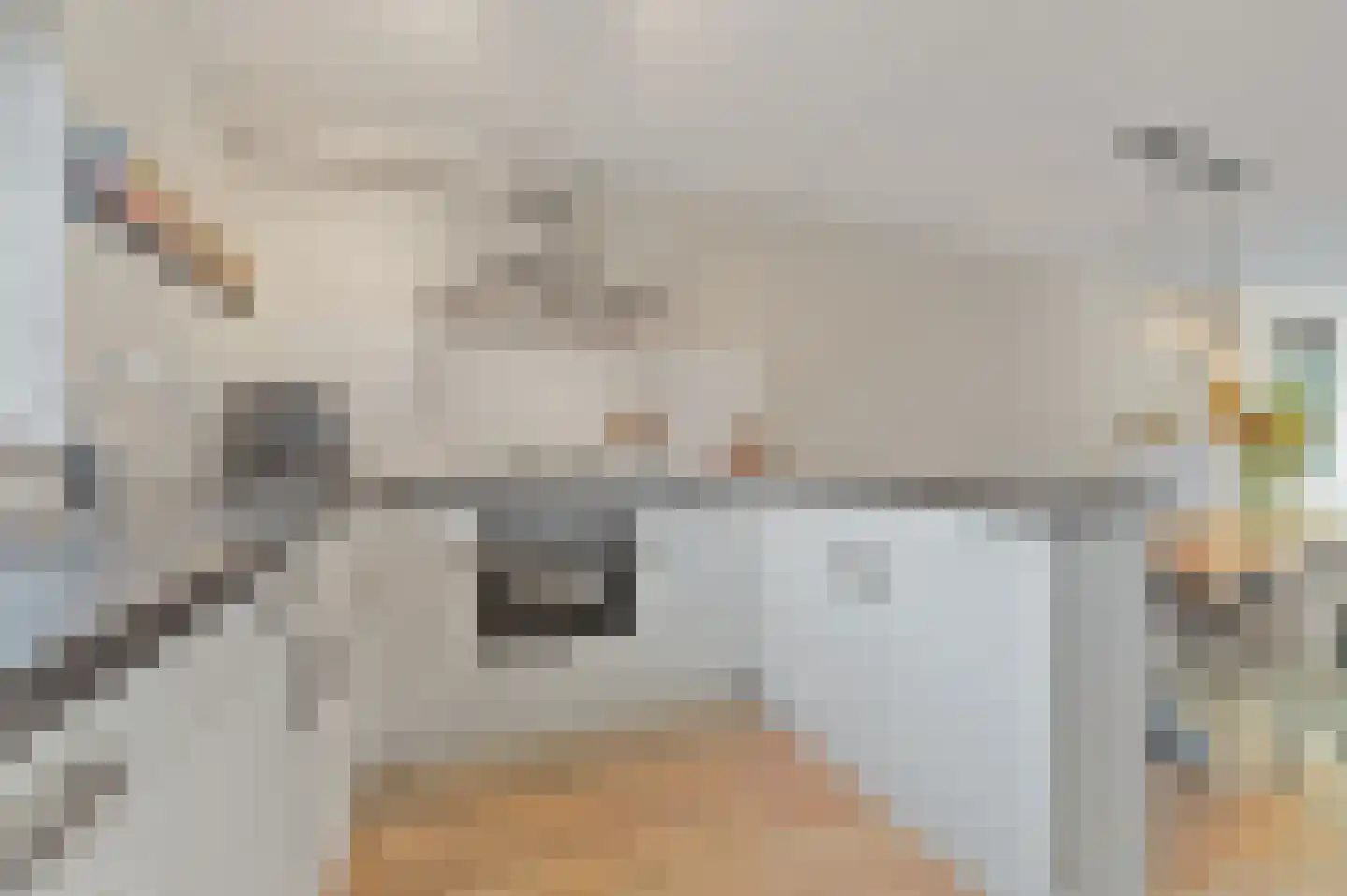 Delkamp 46 Maasland thumbnail 8
