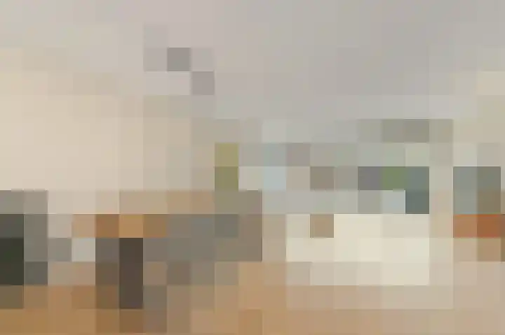 Delkamp 46 Maasland thumbnail 9