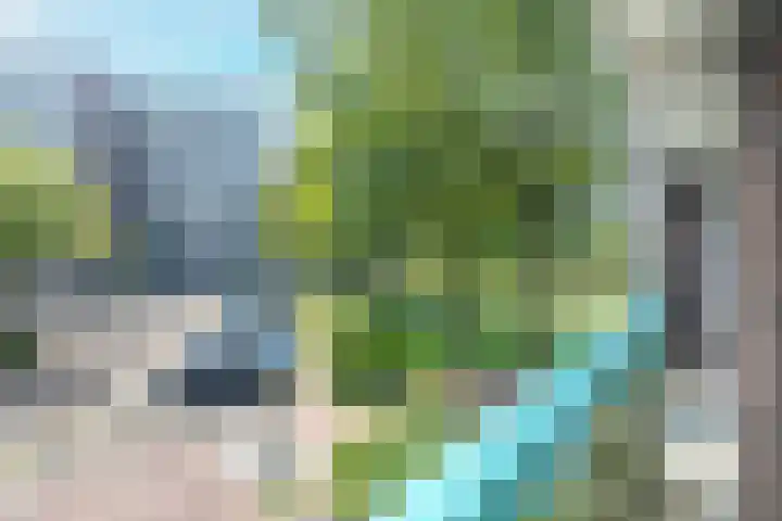 Dellaertlaan 1 Beverwijk thumbnail 17