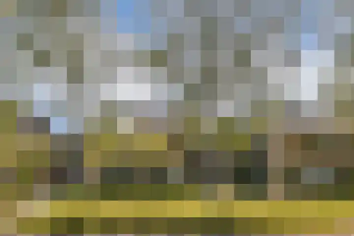 Dellaertlaan 11 in Badhoevedorp