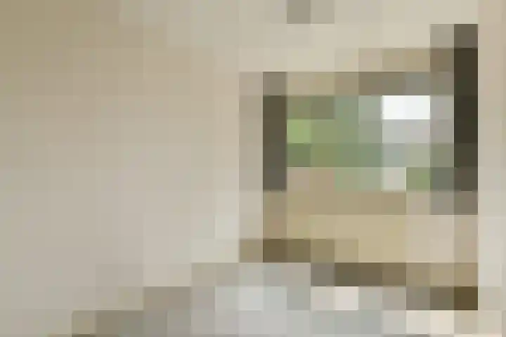 Dellaertlaan 11 Badhoevedorp thumbnail 21