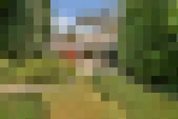 Dellaertlaan 11 Badhoevedorp thumbnail 31