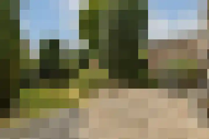 Dellaertlaan 11 Badhoevedorp thumbnail 32