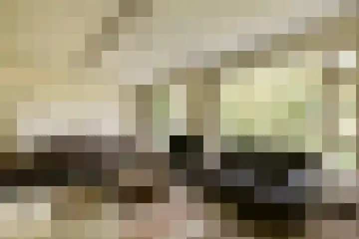 Dellaertlaan 11 Badhoevedorp thumbnail 4