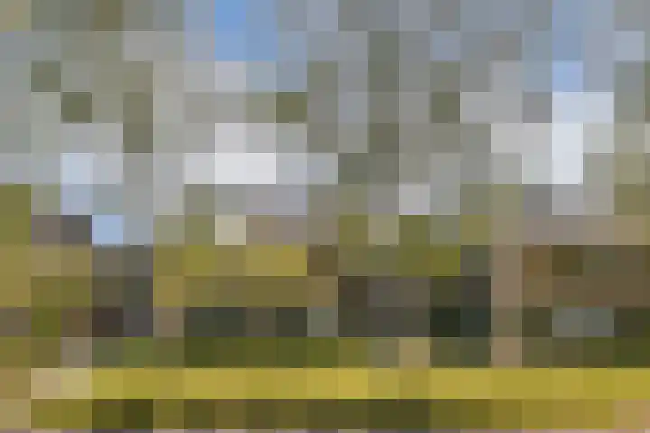 Dellaertlaan 11 Badhoevedorp thumbnail 50