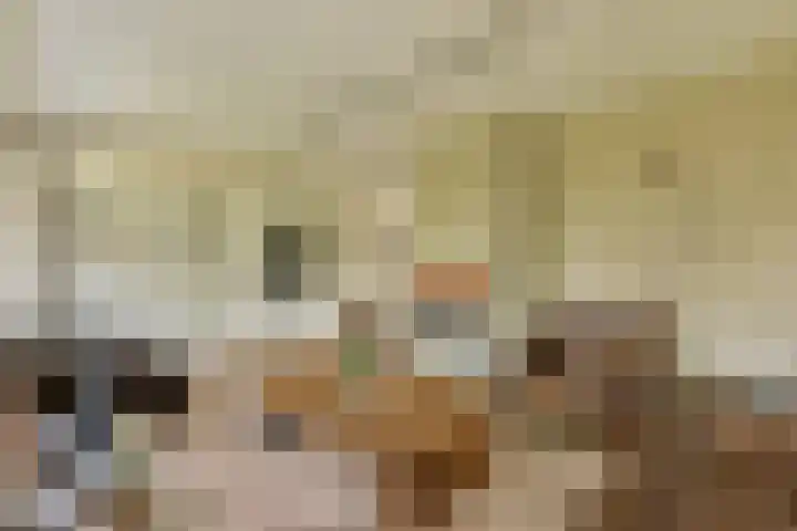 Dellaertlaan 11 Badhoevedorp thumbnail 6
