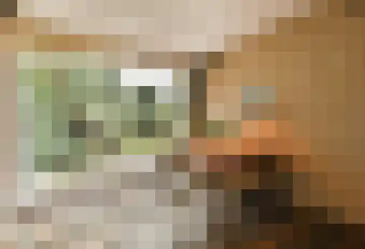 Dellaertlaan 11 Badhoevedorp thumbnail 9