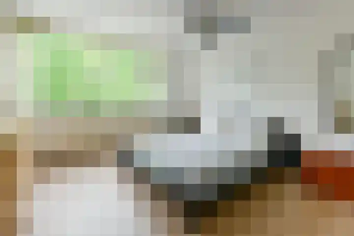 Dellaertlaan 120 Badhoevedorp thumbnail 12