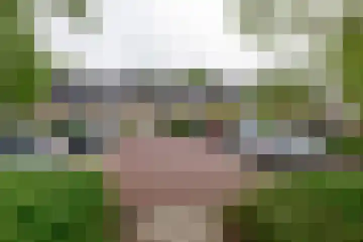 Dellaertlaan 120 Badhoevedorp thumbnail 22