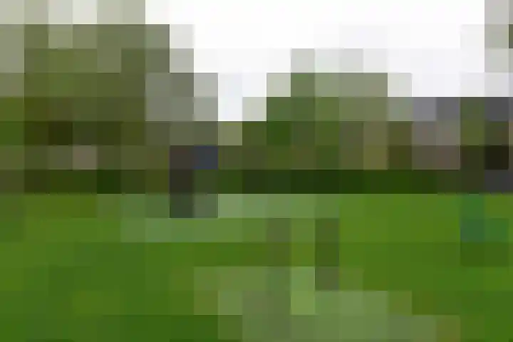 Dellaertlaan 120 Badhoevedorp thumbnail 23