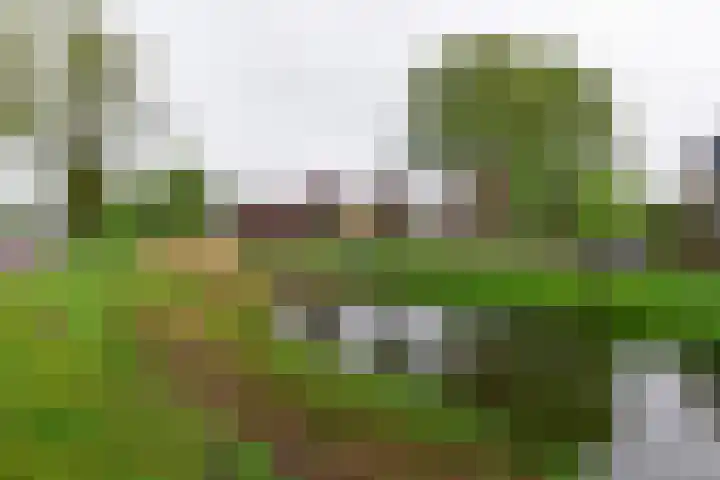 Dellaertlaan 120 Badhoevedorp thumbnail 24