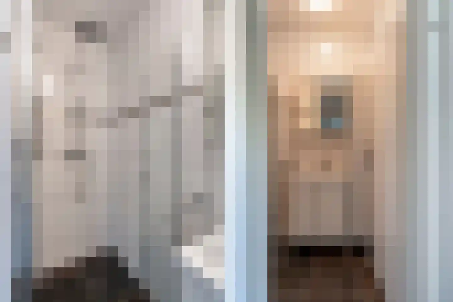 Dellaertlaan 29 Beverwijk thumbnail 26