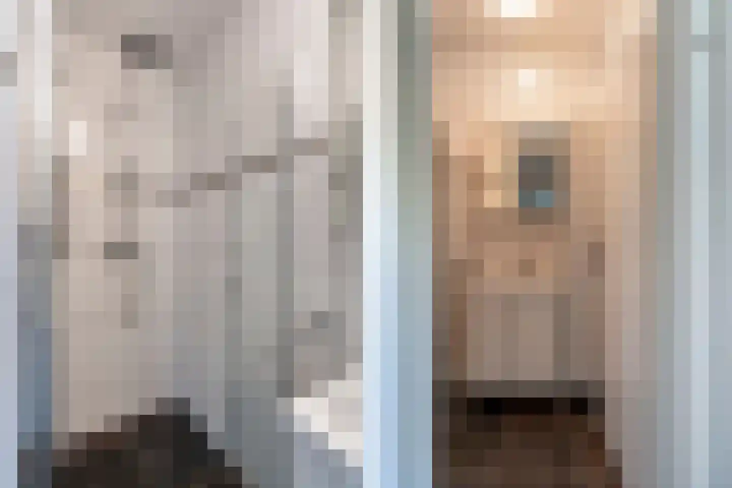 Dellaertlaan 29 Beverwijk thumbnail 27