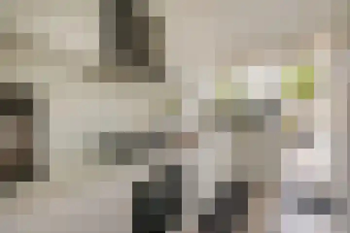 Dellaertlaan 3 Badhoevedorp thumbnail 15
