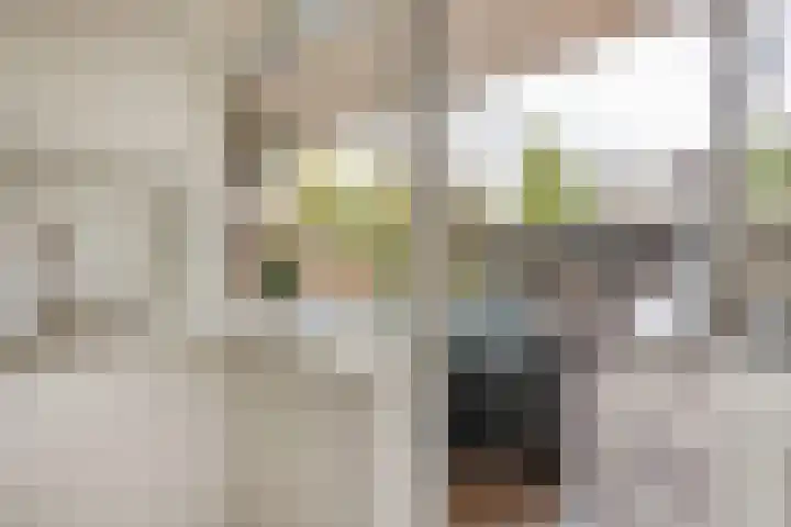 Dellaertlaan 3 Badhoevedorp thumbnail 16
