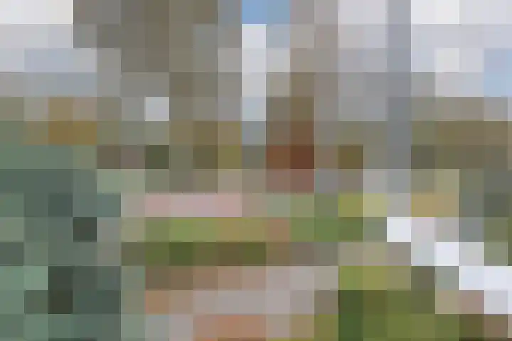 Dellaertlaan 3 Badhoevedorp thumbnail 26