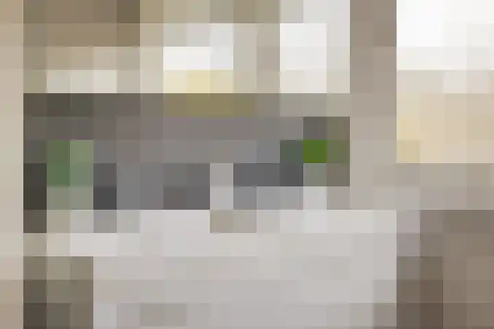 Dellaertlaan 3 Badhoevedorp thumbnail 30
