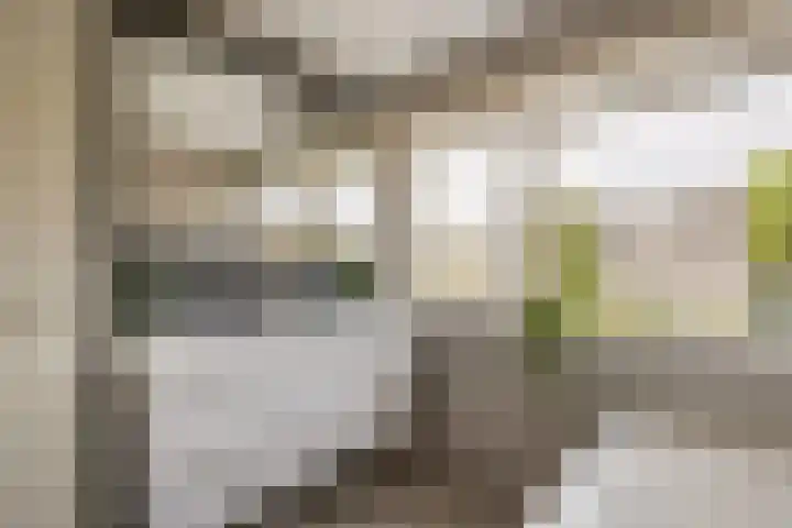 Dellaertlaan 3 Badhoevedorp thumbnail 31
