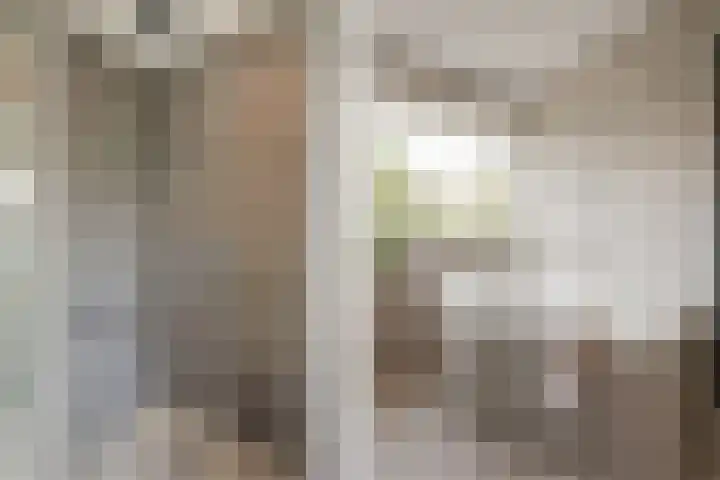 Dellaertlaan 3 Badhoevedorp thumbnail 32