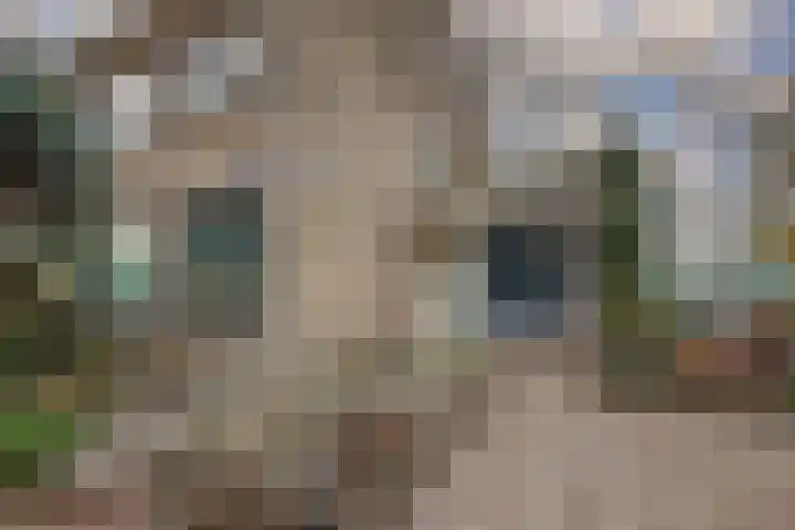 Dellaertlaan 3 Badhoevedorp thumbnail 48