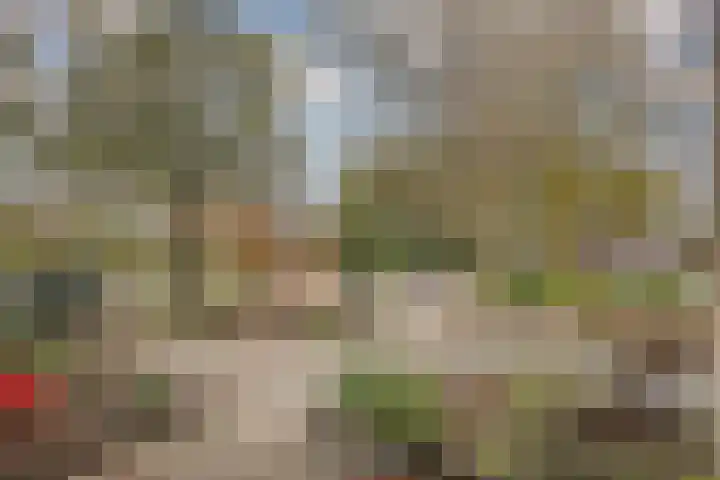 Dellaertlaan 3 Badhoevedorp thumbnail 49