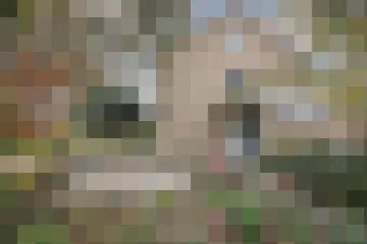 Dellaertlaan 3 Badhoevedorp thumbnail 52