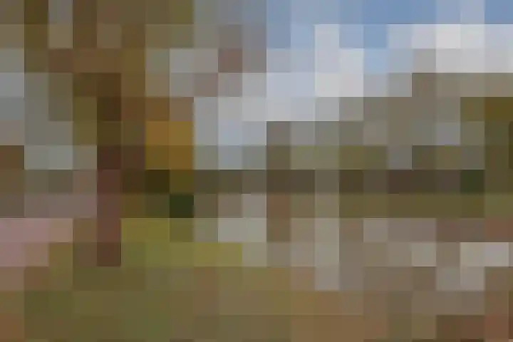 Dellaertlaan 3 Badhoevedorp thumbnail 53