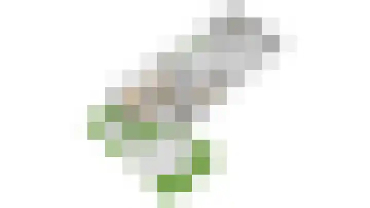 Dellaertlaan 3 Badhoevedorp thumbnail 67