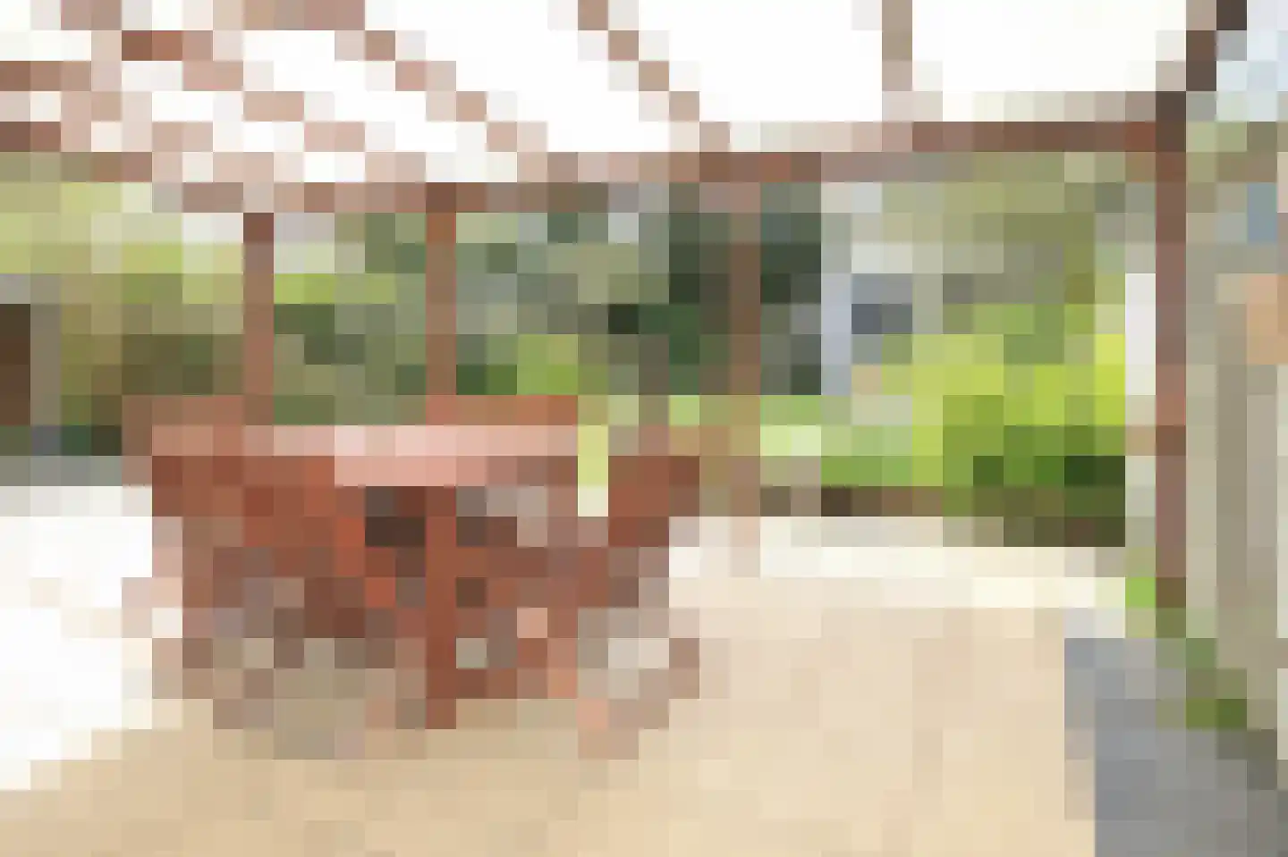 Dellaertlaan 5 Badhoevedorp thumbnail 32