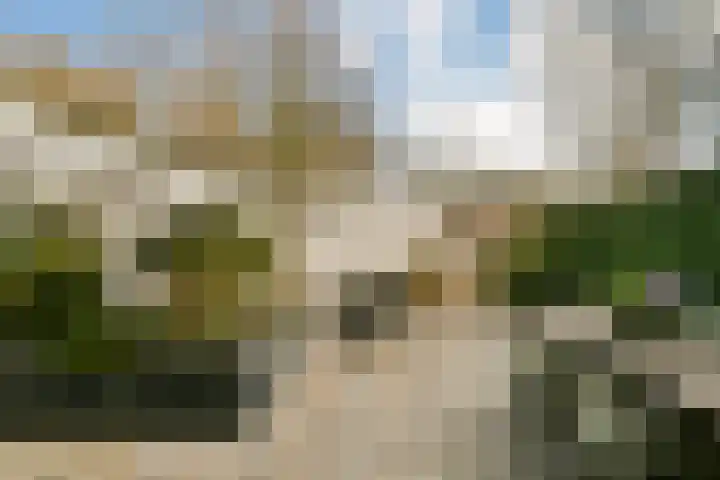 Dellaertlaan 54 Badhoevedorp thumbnail 28
