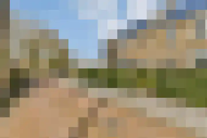 Dellaertlaan 54 Badhoevedorp thumbnail 33
