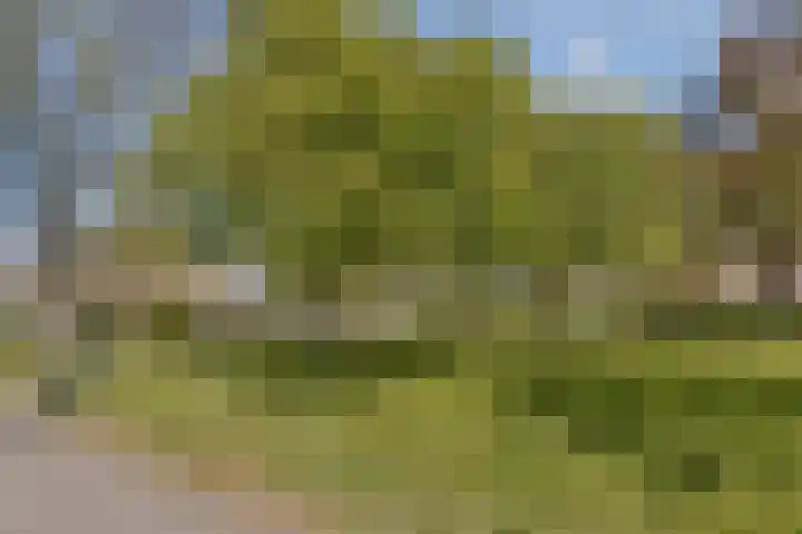 Dellaertlaan 54 Badhoevedorp thumbnail 35