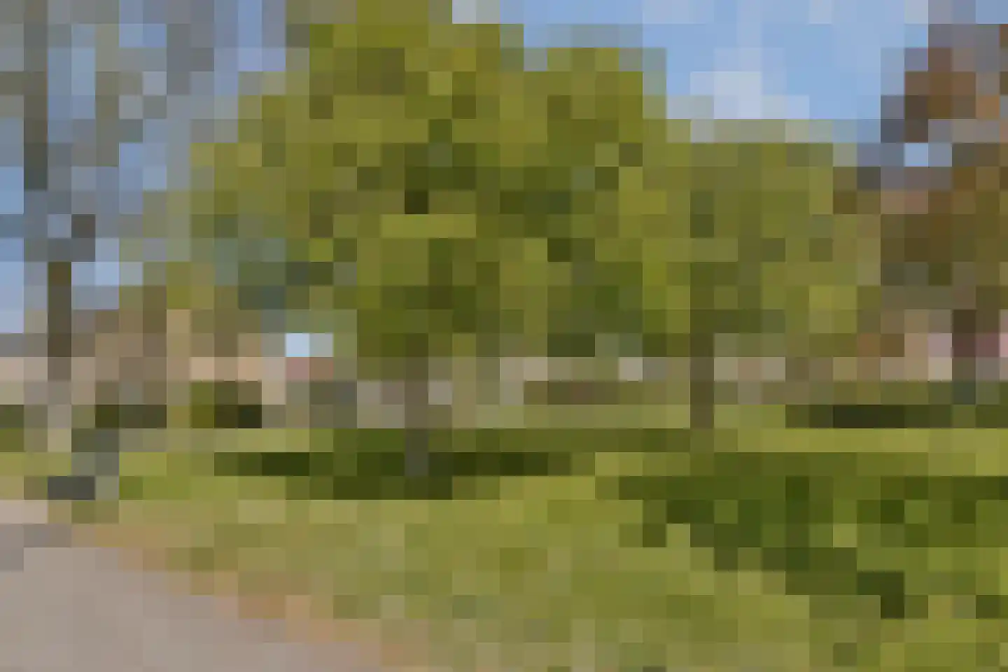 Dellaertlaan 54 Badhoevedorp thumbnail 35
