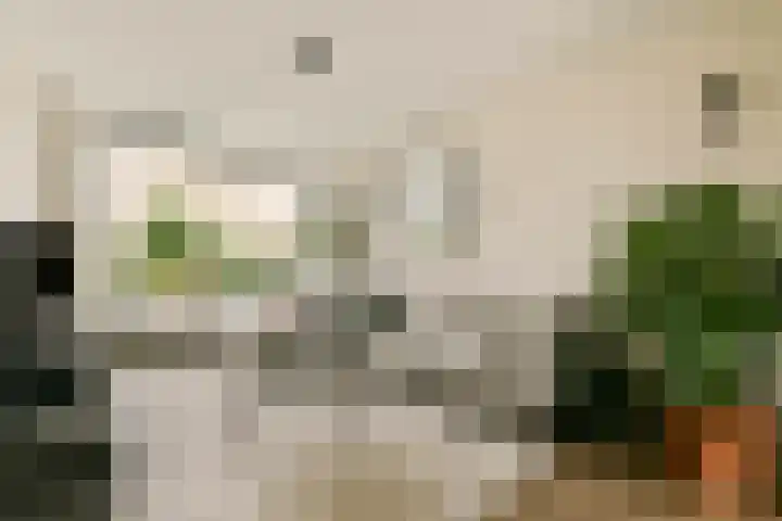 Dellaertlaan 54 Badhoevedorp thumbnail 6