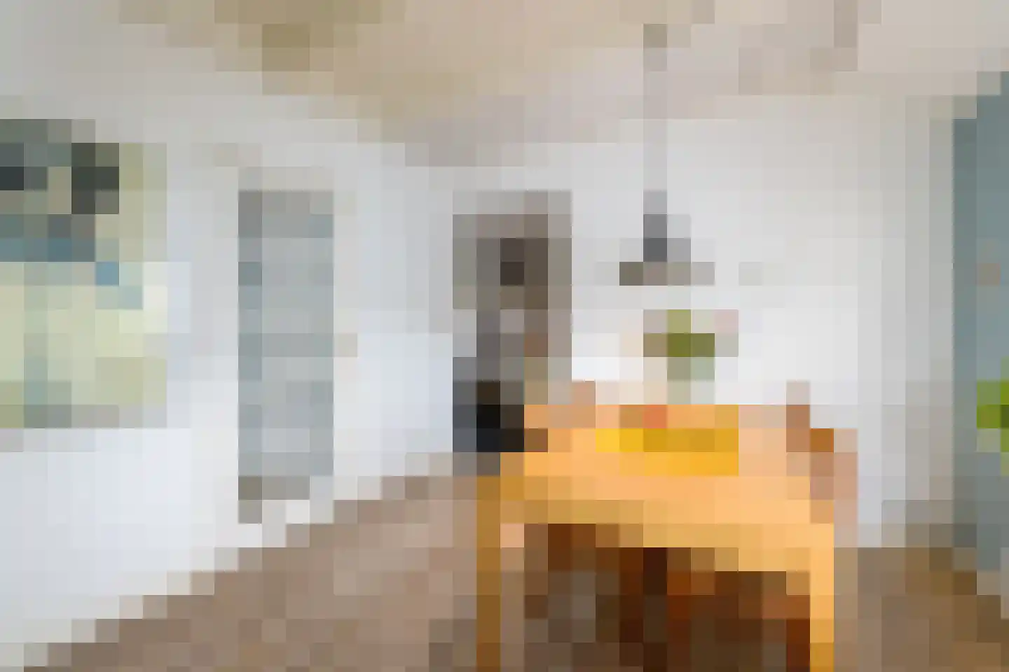 Delle 11 Oldeberkoop thumbnail 10