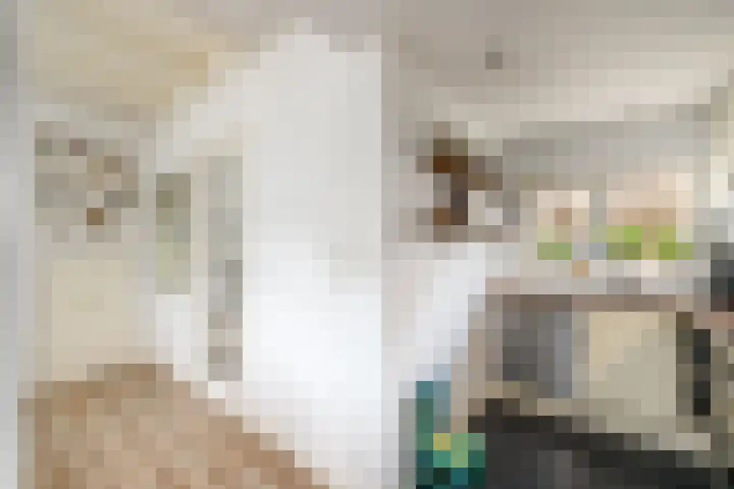 Delle 11 Oldeberkoop thumbnail 11