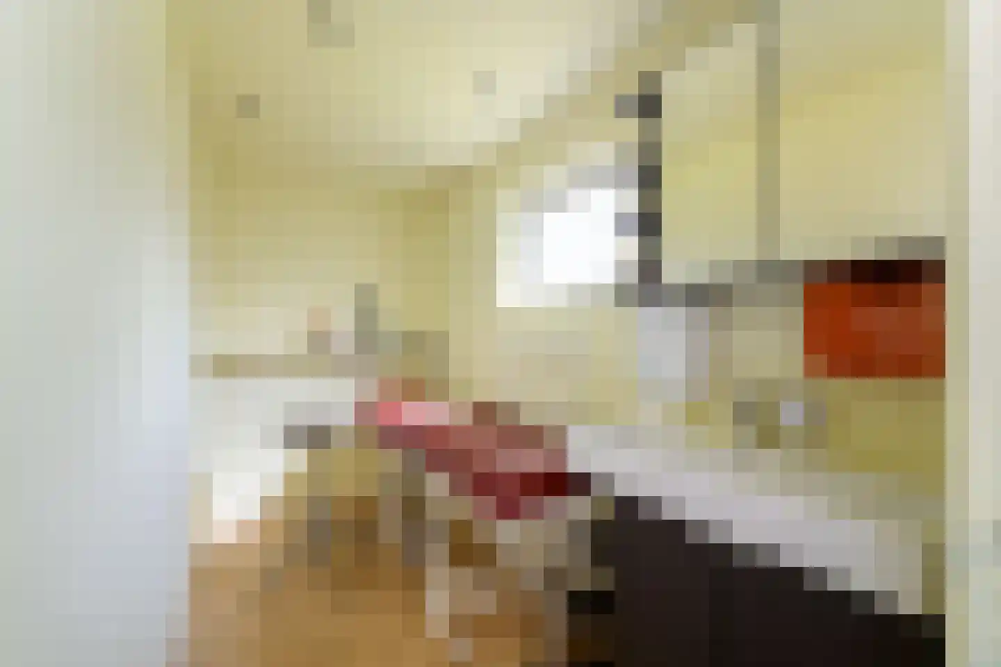 Delle 11 Oldeberkoop thumbnail 14