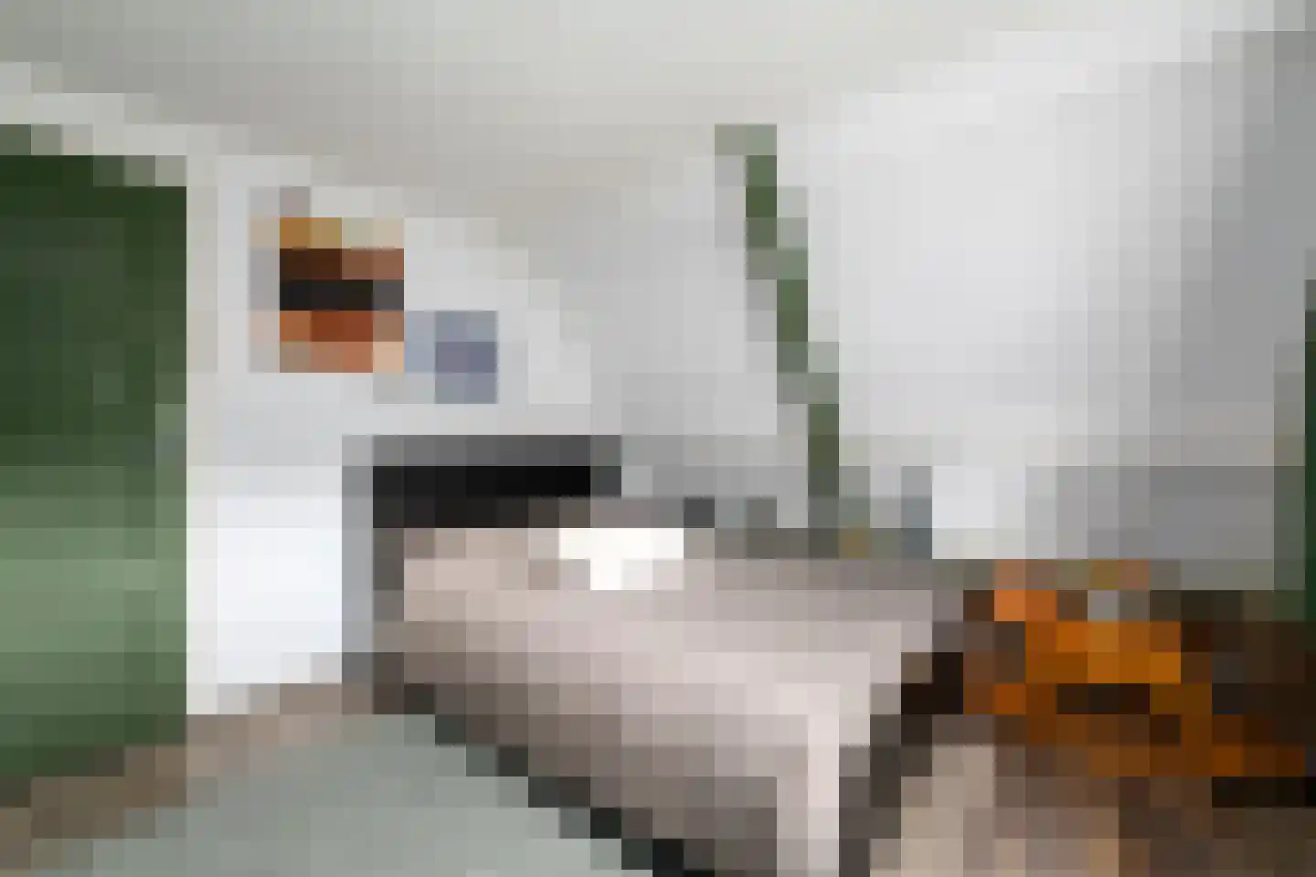 Delle 11 Oldeberkoop thumbnail 18