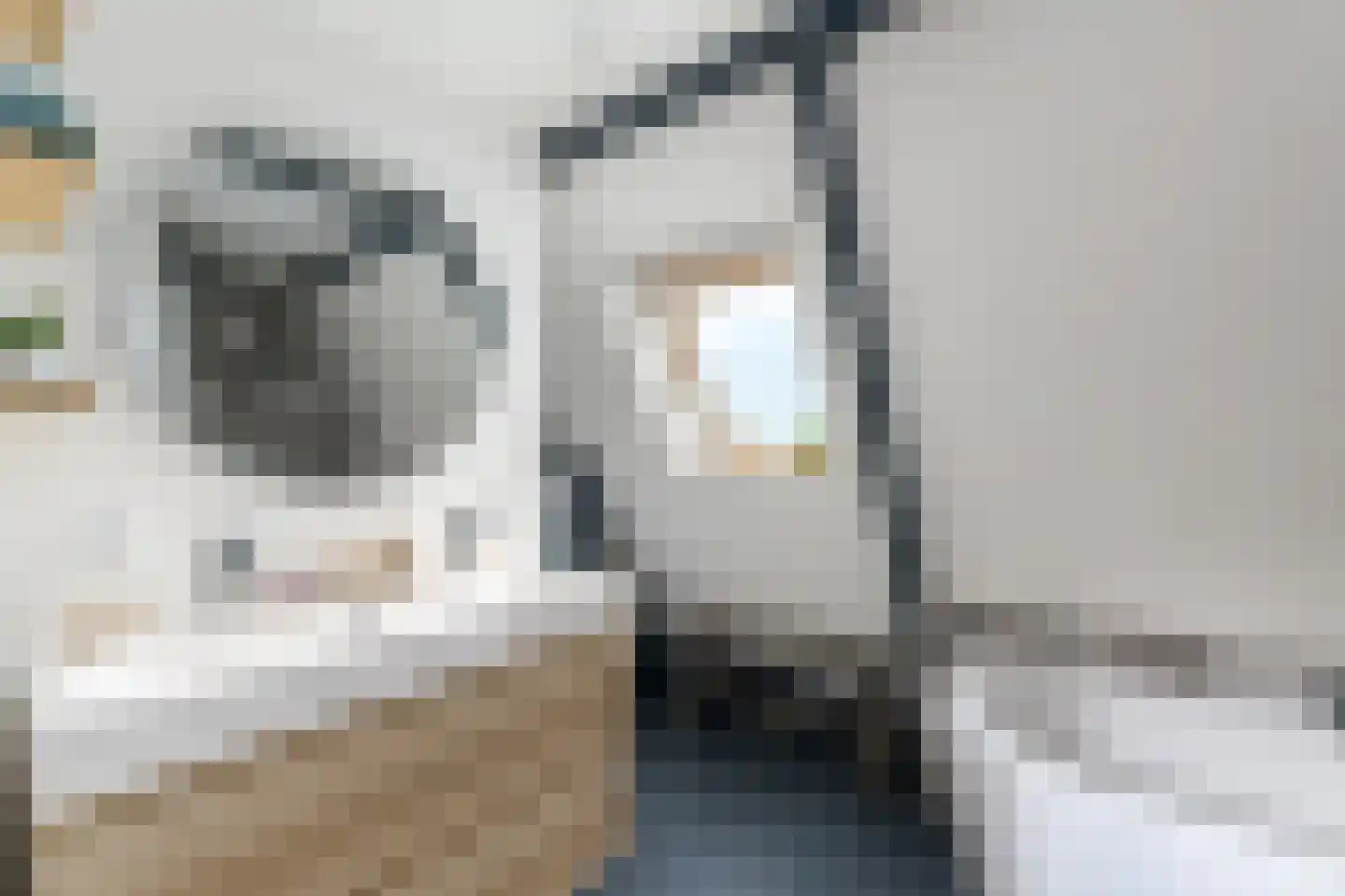 Delle 11 Oldeberkoop thumbnail 20