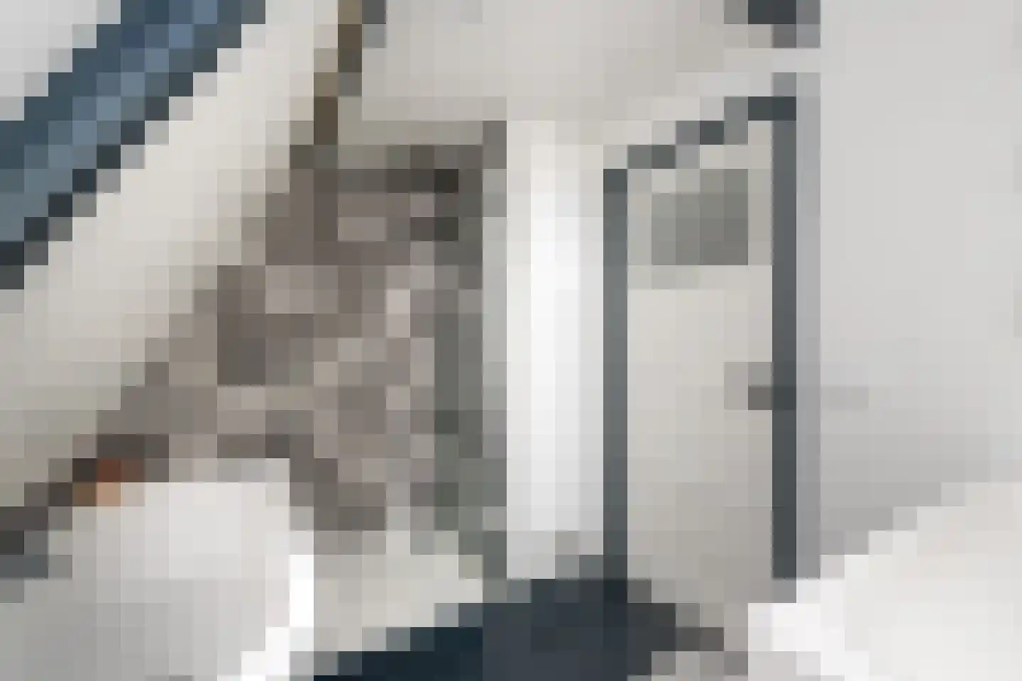 Delle 11 Oldeberkoop thumbnail 21