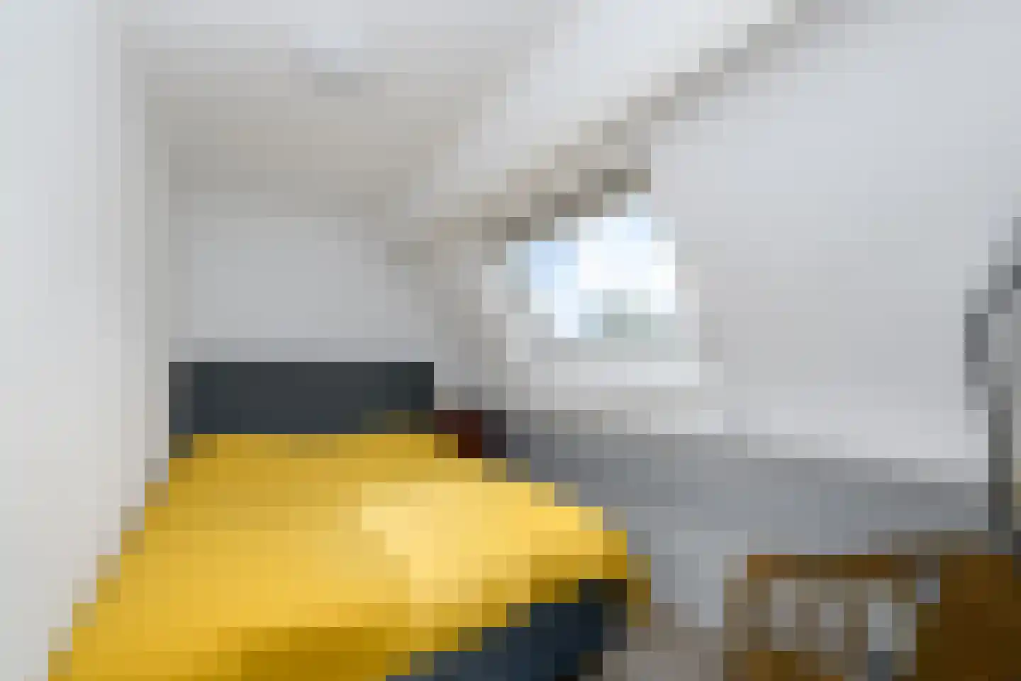 Delle 11 Oldeberkoop thumbnail 24